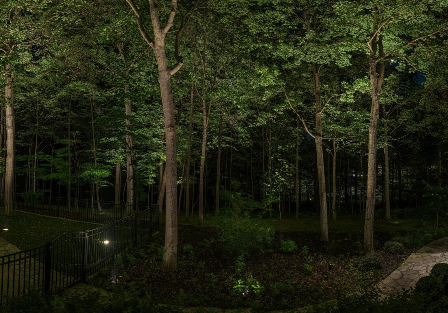 A backyard with tall trees and a stone path is illuminated at night by small ground lights, with a fence and landscaped bushes in view.