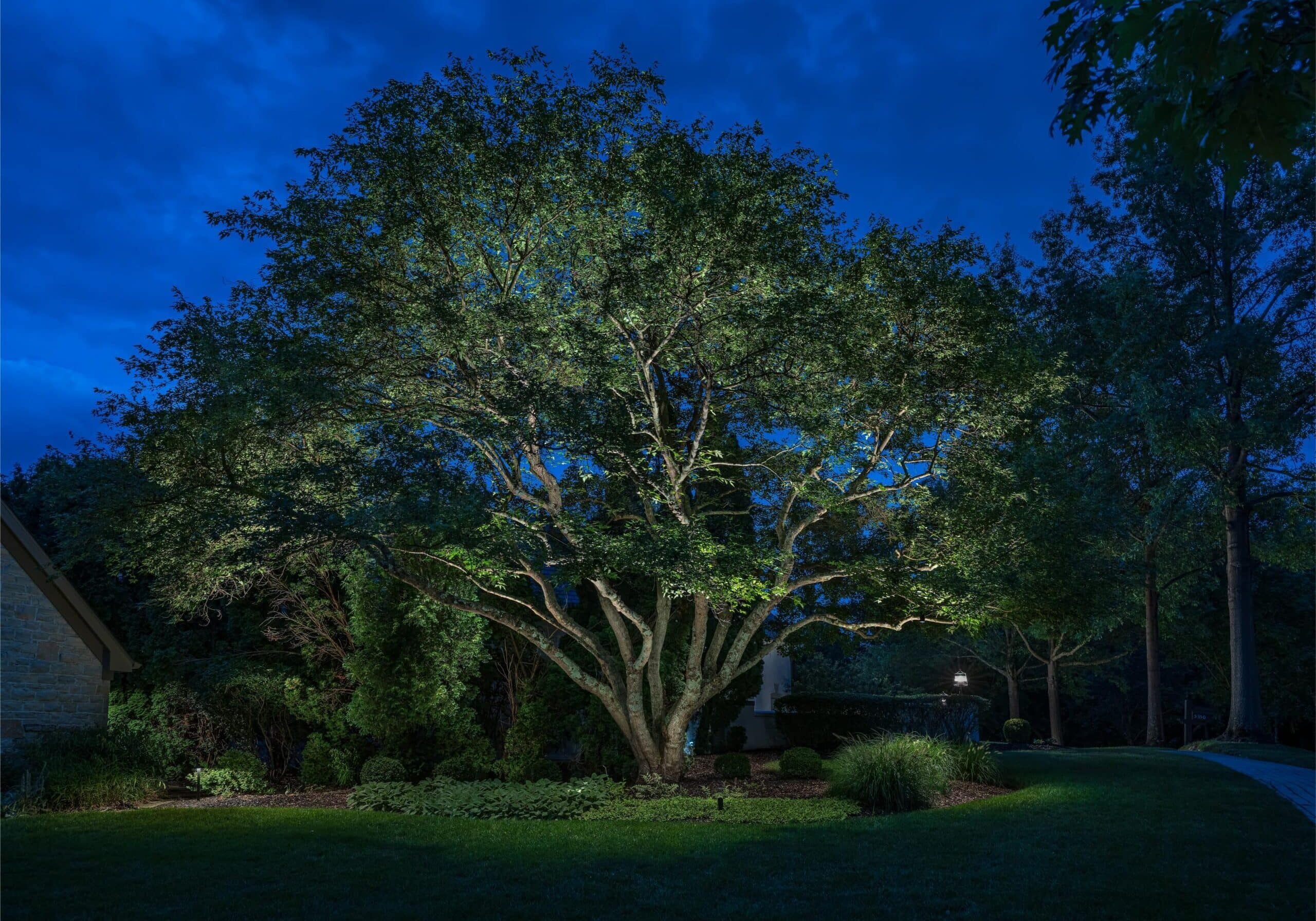 A large tree in a landscaped yard is illuminated by ground lights at night, with a lawn, shrubs, and a pathway visible under a dark blue sky.
