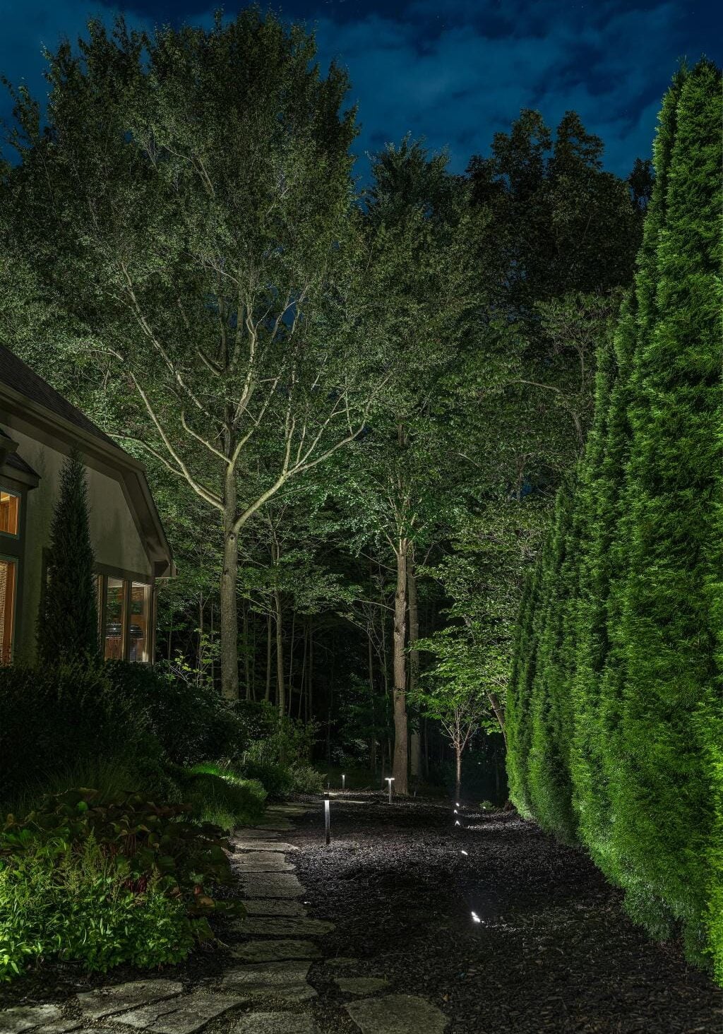 Nighttime view of a backyard garden with stone path, illuminated pathway lights, tall trees, and dense green shrubs.