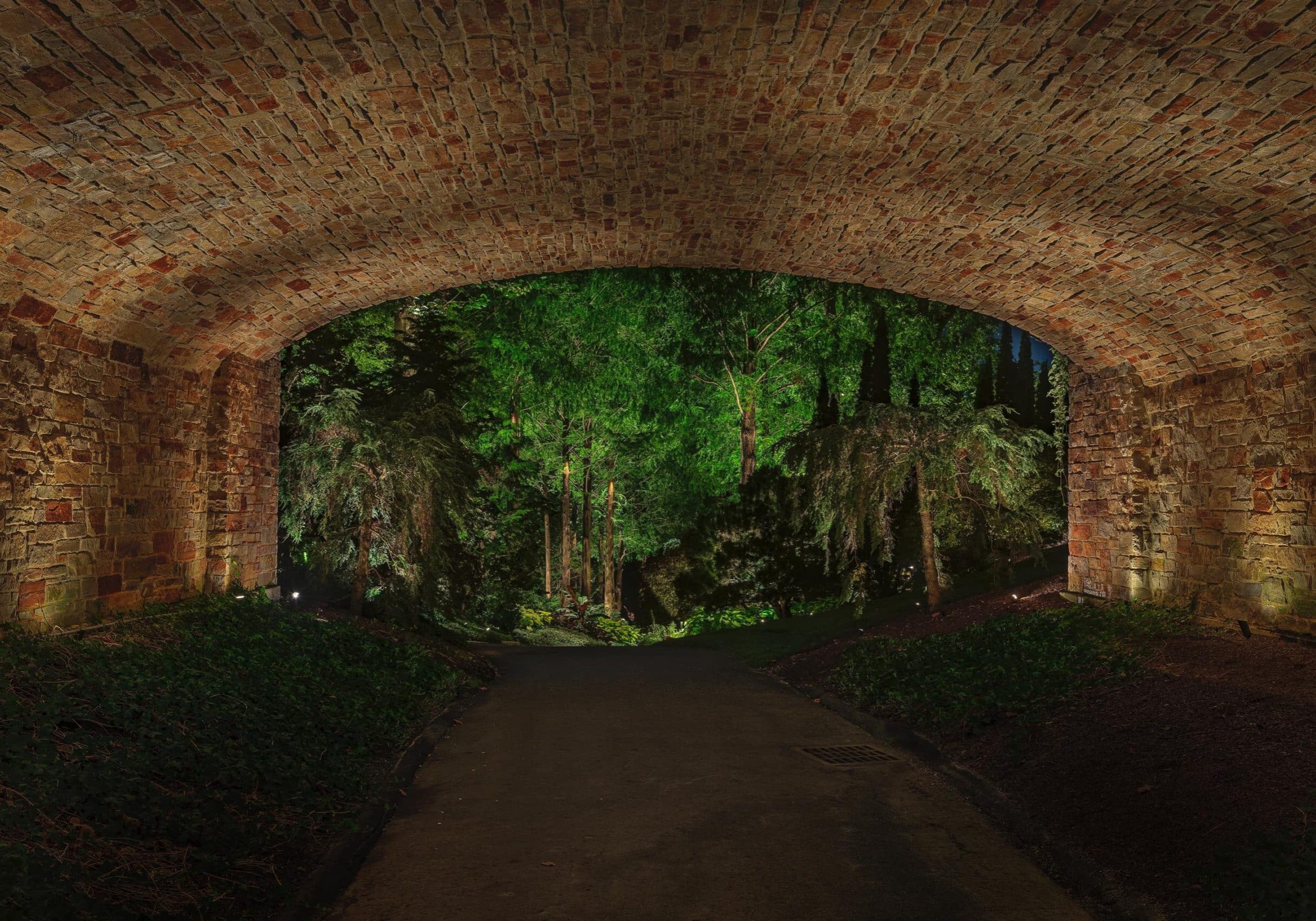 A view of a forest at night seen through a brick archway, with dim lighting illuminating the stone and trees in the background.