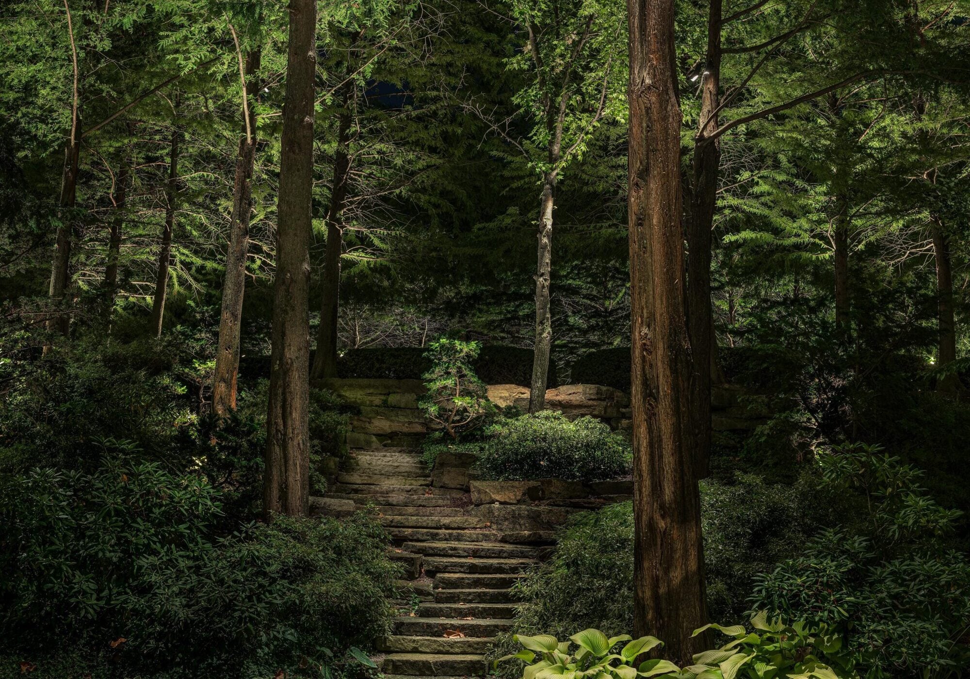 Stone steps lead up through dense greenery in a forested garden at night, with tall trees and various plants surrounding the pathway.