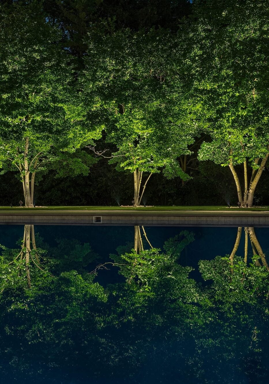 Three illuminated trees are reflected in a swimming pool at night, with surrounding patio furniture visible in the background.