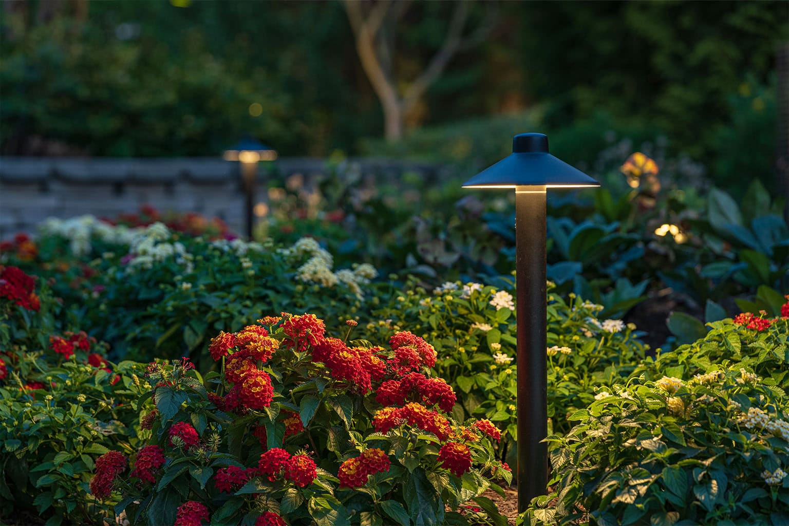 A garden with red and white flowers is illuminated by outdoor path lights at dusk, with greenery and trees in the background. - Christopher A. Lighting Design