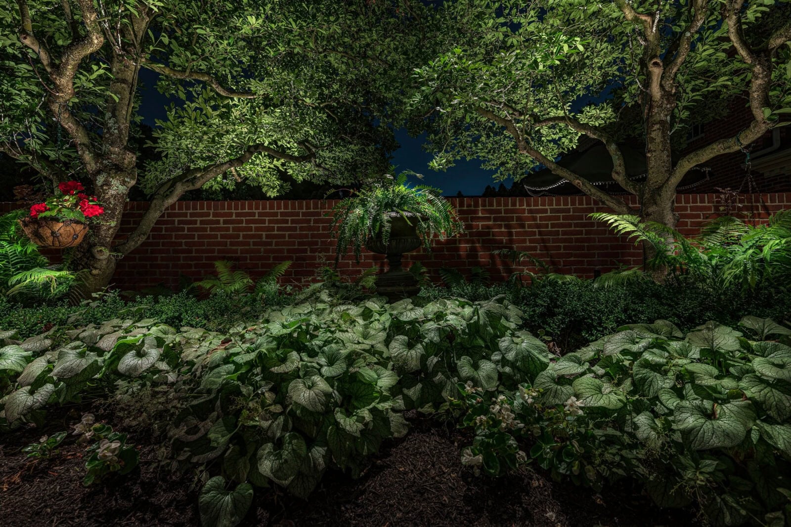 A well-lit garden at night with leafy plants, ferns, and small trees in front of a red brick wall, featuring a hanging basket of red flowers and a central urn planter.